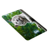 White Tiger magnet Magneet (Rechterzijde)
