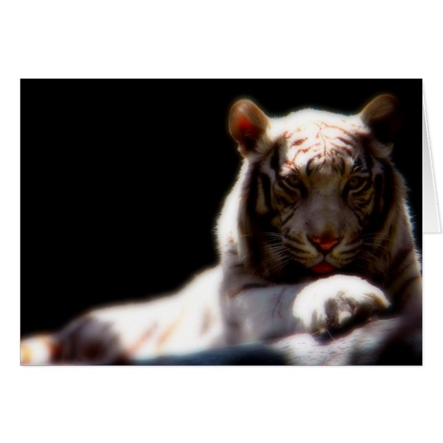 White Tiger Mirage (Voorkant Horizontaal)