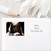 White Tiger Mirage Etiket (Insitu)