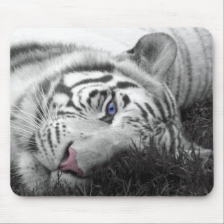 White Tiger mousepad Muismat