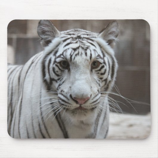 White Tiger mousepad Muismat (Voorkant)
