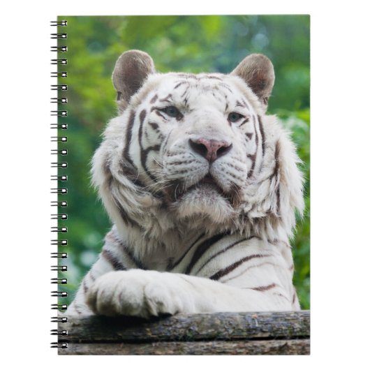 White Tiger notebook Notitieboek (Voorkant)