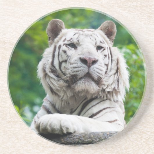 White Tiger onderzetter (Voorkant)