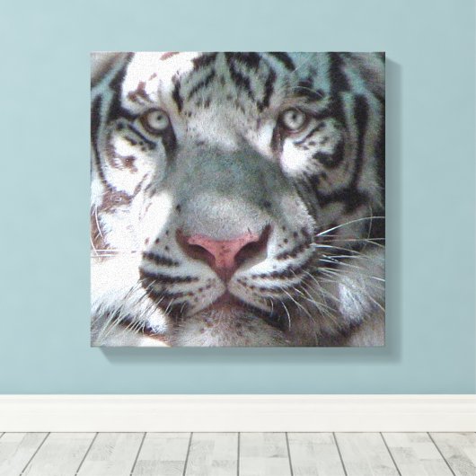 White Tiger Ontmoeting Canvas Afdruk (Insitu (Houten vloer))