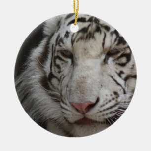 White Tiger Ornament