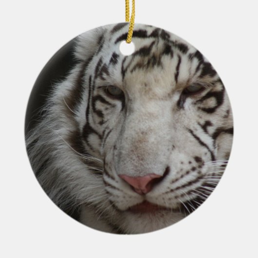White Tiger Ornament (Voorkant)