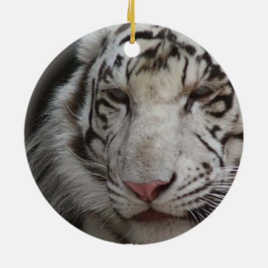 White Tiger Ornament (Achterkant)