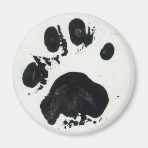White Tiger Paw Print Magnet