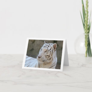 White Tiger Photo Folded Note Kaart