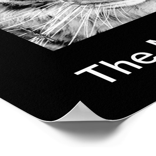 White Tiger Poster (Hoek)