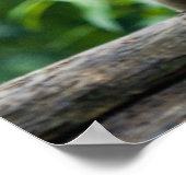 White Tiger poster (Hoek)