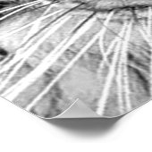 White Tiger Poster Eyes (Hoek)