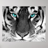 White Tiger Poster Eyes (Voorkant)
