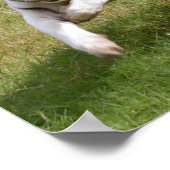 White Tiger Poster je past het aan (Hoek)