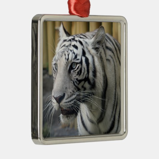 White Tiger Premium Ornament (Rechts)