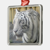 White Tiger Premium Ornament (Links)
