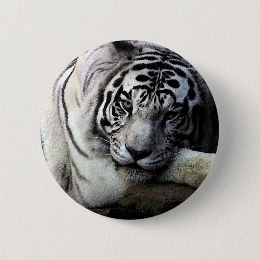 White Tiger Stare Ronde Button 5,7 Cm (Voorkant)