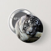 White Tiger Stare Ronde Button 5,7 Cm (Voorkant /achterkant)