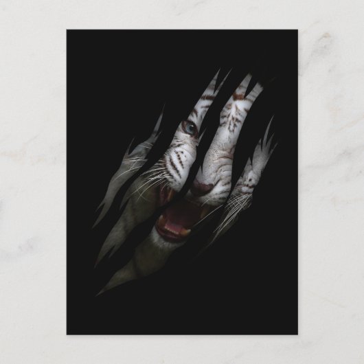 White Tiger Torn Claw Wild Safari Animal Cat Briefkaart (Voorkant)