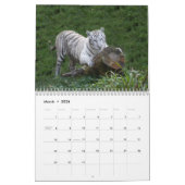 White Tigers Calendar, White Tigers Kalender (Mar 2026)