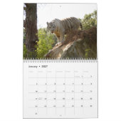 White Tigers Calendar, White Tigers Kalender (Jan 2027)