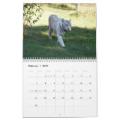 White Tigers Calendar, White Tigers Kalender (Feb 2027)