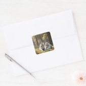 White Tigers Serenity – Minimal Wildlife Sticker (Envelop)