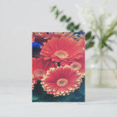 White Tipped ventilator Briefkaart (Staand voorkant)