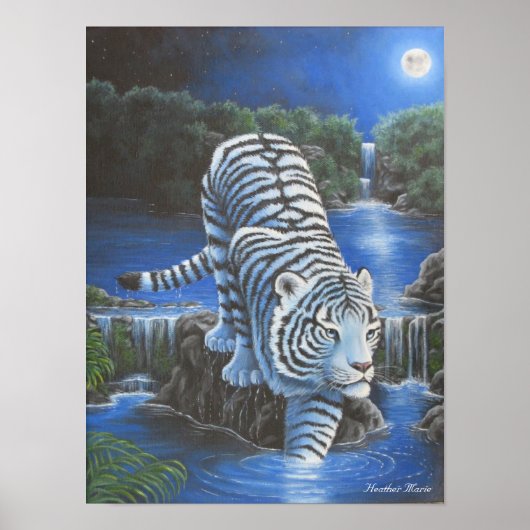 White Tirger Poster (Voorkant)