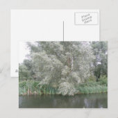 White Tree and River Landscape Briefkaart (Voorkant / Achterkant)