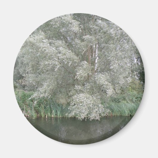 White Tree and River Landscape Magnet (Voorkant)
