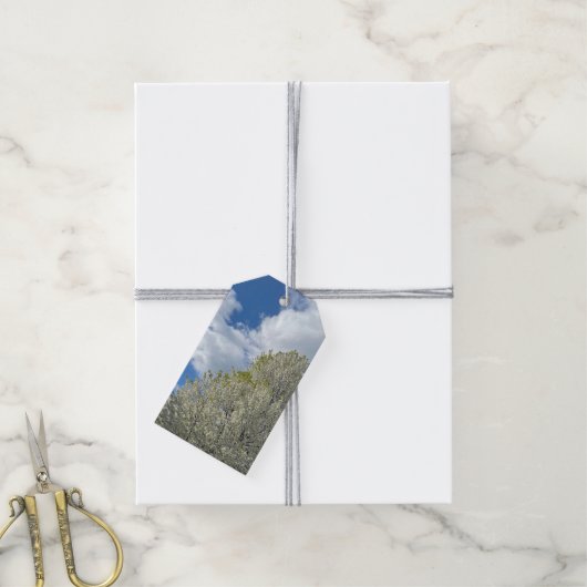 White Tree Blue Sky Clouds Photo Cadeaulabel (Met Touw)