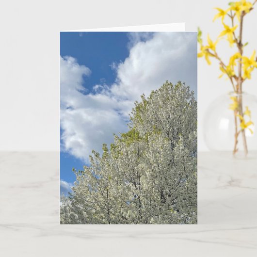 White Tree Blue Sky Clouds Photo Kaart (Gele Bloem)