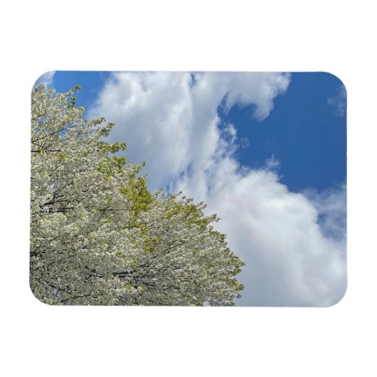 White Tree Blue Sky Clouds Photo Magneet (Horizontaal)