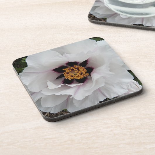 White Tree Peony Floral Bier Onderzetter (Linkerzijde)