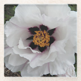 White Tree Peony Floral Glazen Onderzetter