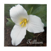 White Trillium Flower Floral Tegel Tegeltje (Voorkant)