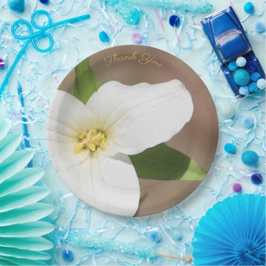 White Trillium Flower Large Paper Bord (Feest)