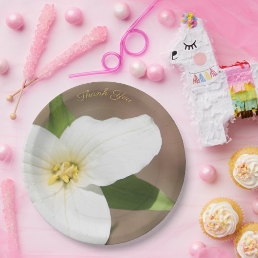 White Trillium Flower Large Paper Bord (Feest)