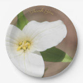 White Trillium Flower Large Paper Bord (Voorkant)