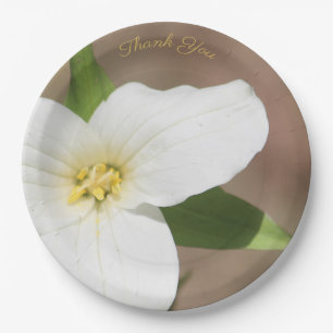 White Trillium Flower Large Paper Bord