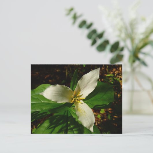 White Trillium Flower Spring Wilde Briefkaart (Staand voorkant)