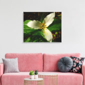 White Trillium Flower Spring Wilde Canvas Afdruk (Insitu (Woonkamer))