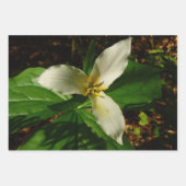 White Trillium Flower Spring Wilde Inpakpapier Vel (Voorkant 2)