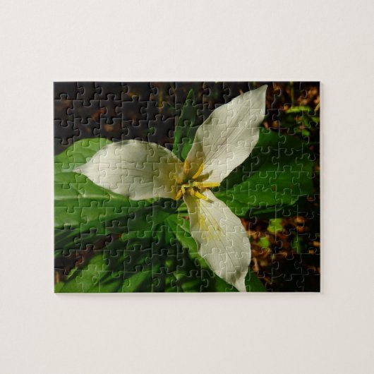 White Trillium Flower Spring Wilde Legpuzzel (Horizontaal)