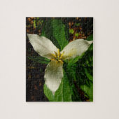 White Trillium Flower Spring Wilde Legpuzzel (Verticaal)