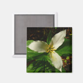 White Trillium Flower Spring Wilde Magneet (Voorkant / Achterkant)