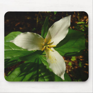 White Trillium Flower Spring Wilde Muismat