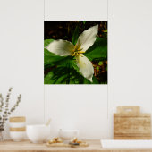 White Trillium Flower Spring Wilde Poster (Keuken)