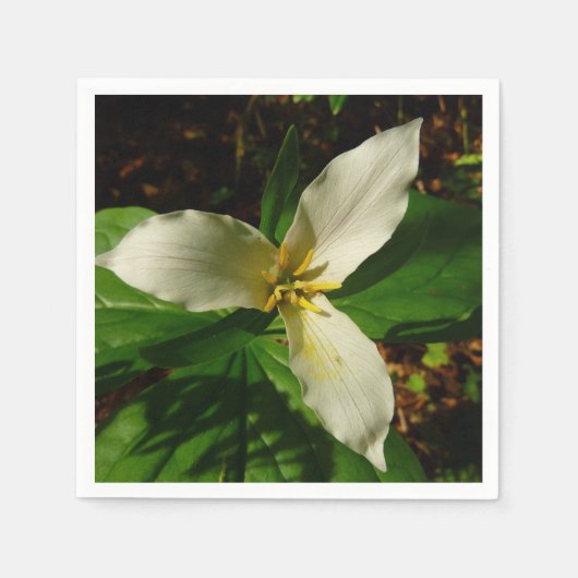 White Trillium Flower Spring Wilde Servet (Voorkant)